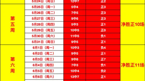 2026新西联赛事攻略：5连红24中17，精准解析，信心倍增指南
